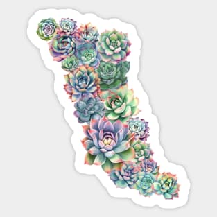 succulents Sticker